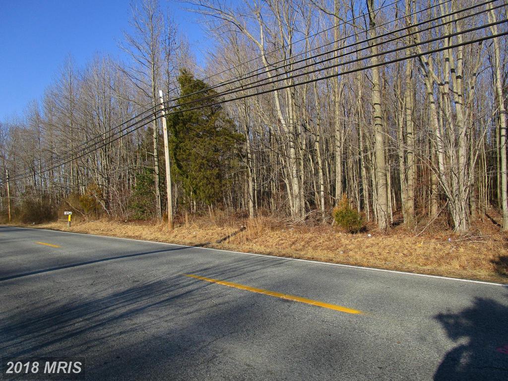 592 Blue Ball Road - Photo 1