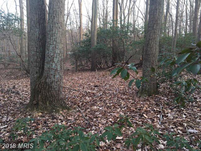 Turkey Point Road - Photo 1