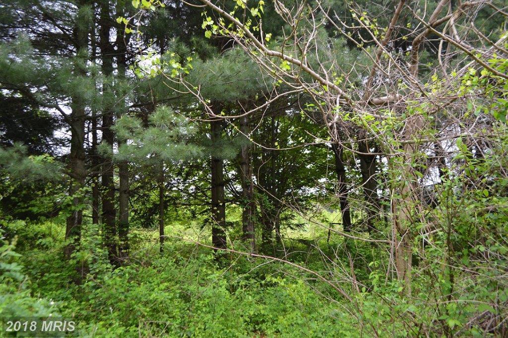 Groff Farm Lane - Photo 1