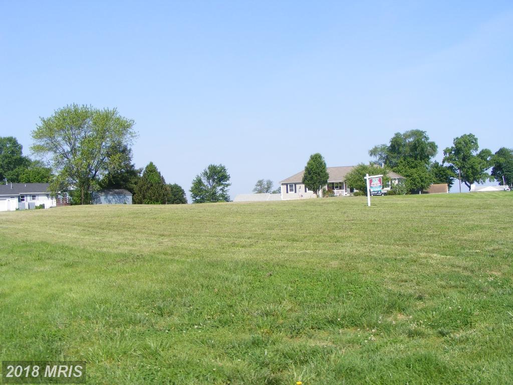 LOT #113 Old Barn Lane - Photo 1