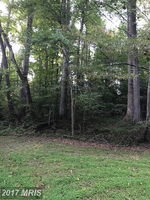 8605 Blossom Point Road - Photo 1