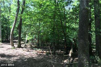 9900 Tall Pines Place - Photo 1