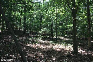 9890 Tall Pines Place - Photo 1