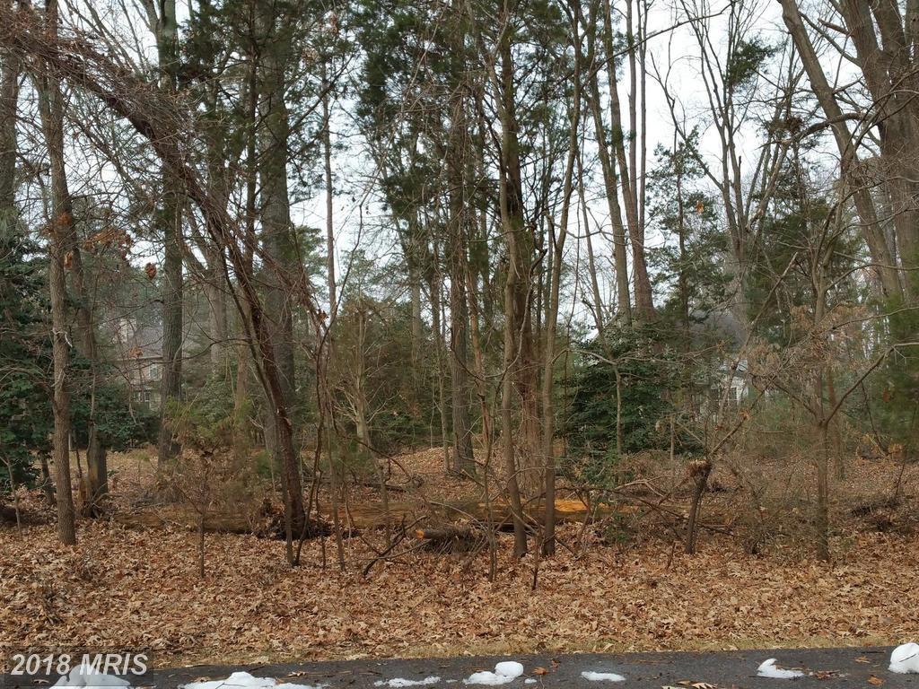 14525 Honeysuckle Way - Photo 1