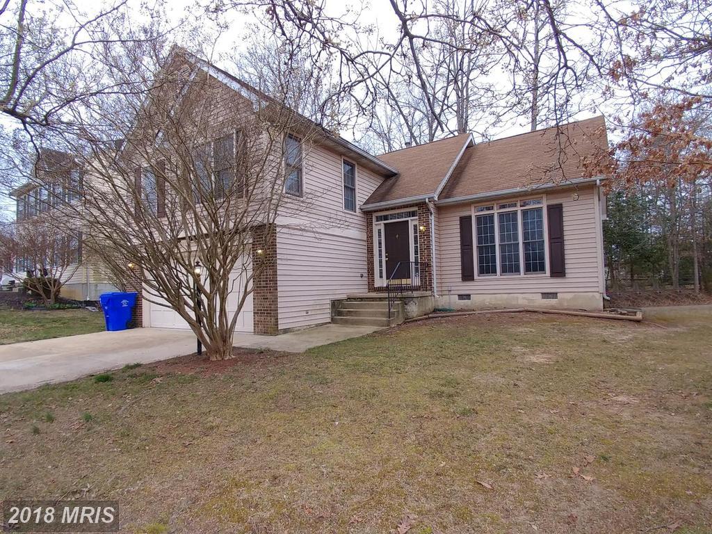 5813 Paddlefish Court - Photo 1
