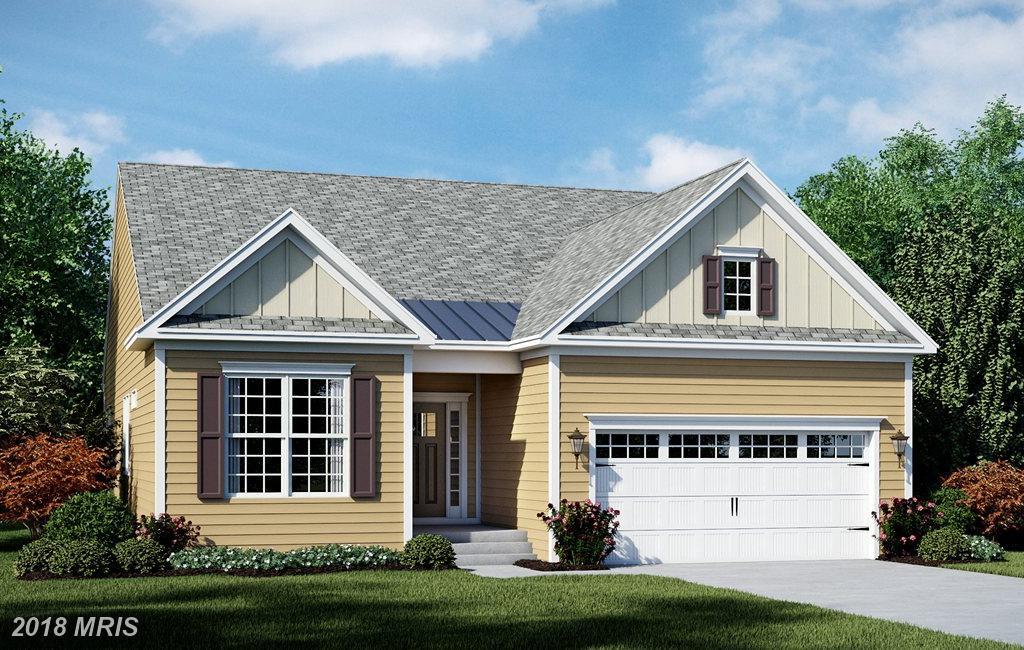 Tbd Torrey Pines Drive - Photo 1