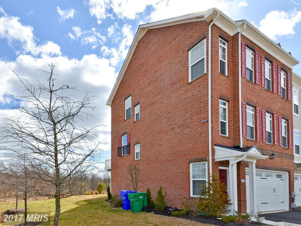 12394 Sandstone Street - Photo 1