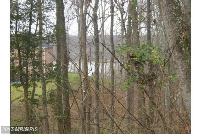 Chapel Point Road - Photo 1