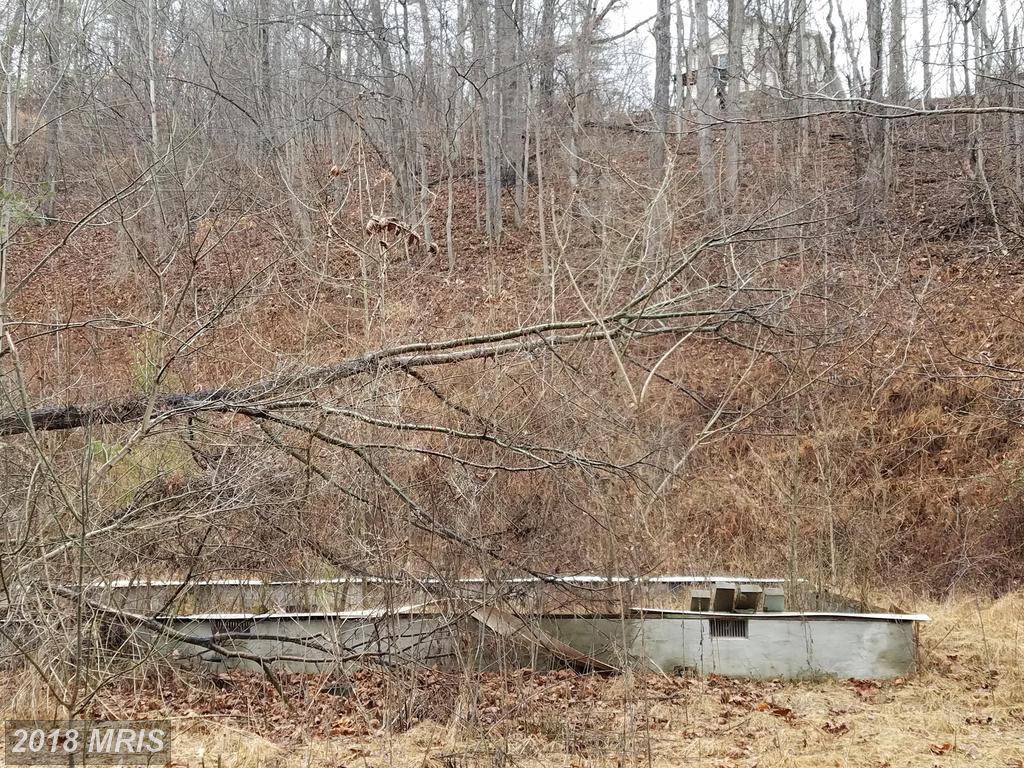 Chilly Hollow Road - Photo 1