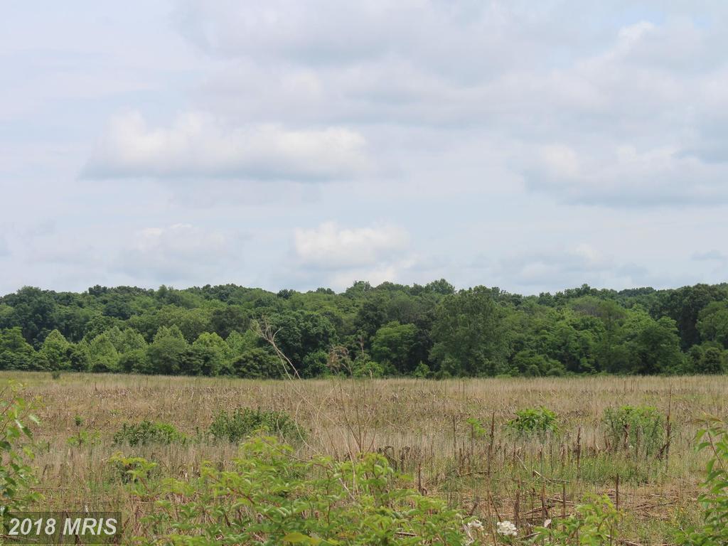 White Post Road - Photo 1
