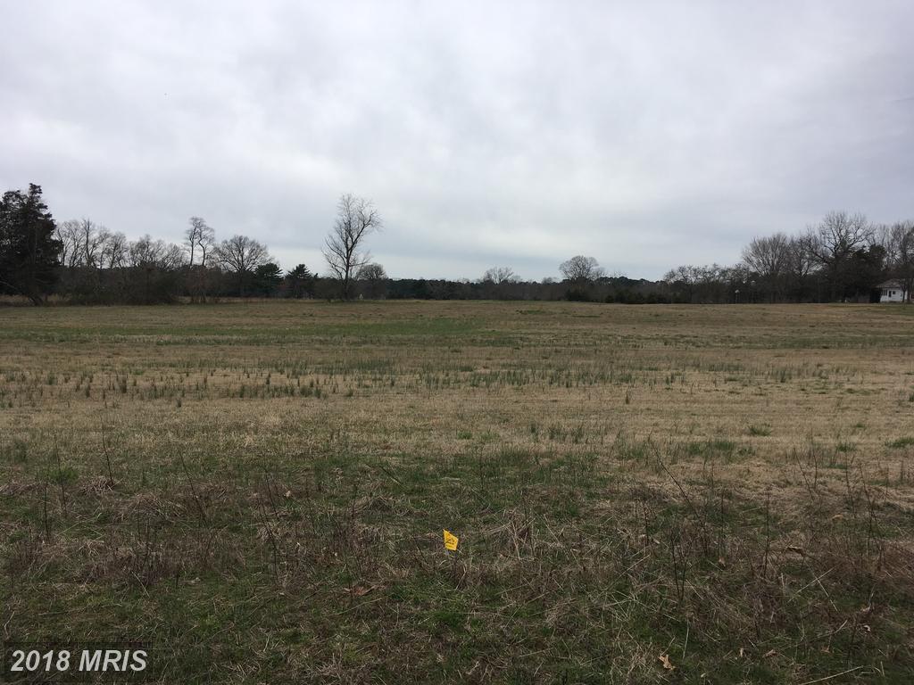 LOT 3 Pealiquor Road - Photo 1