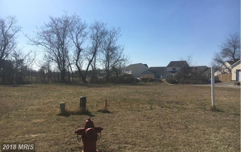 323 MALLARD Drive - Photo 1