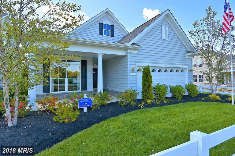 10000 Cherrytown Road - Photo 1