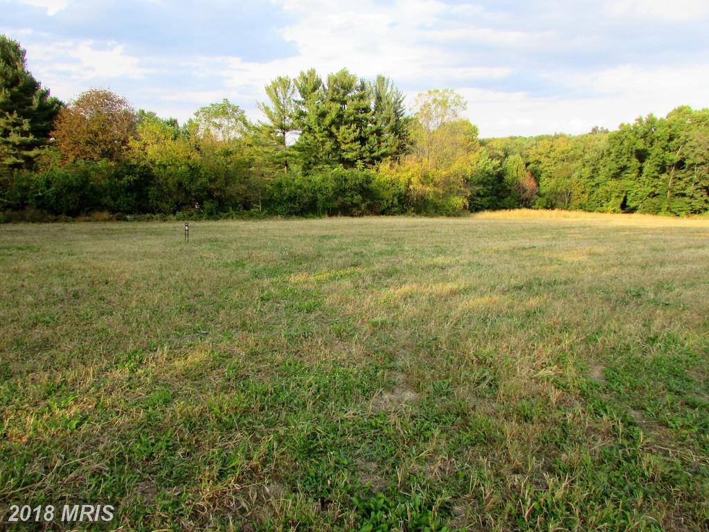 LOT 1 Deer Park Road - Photo 1