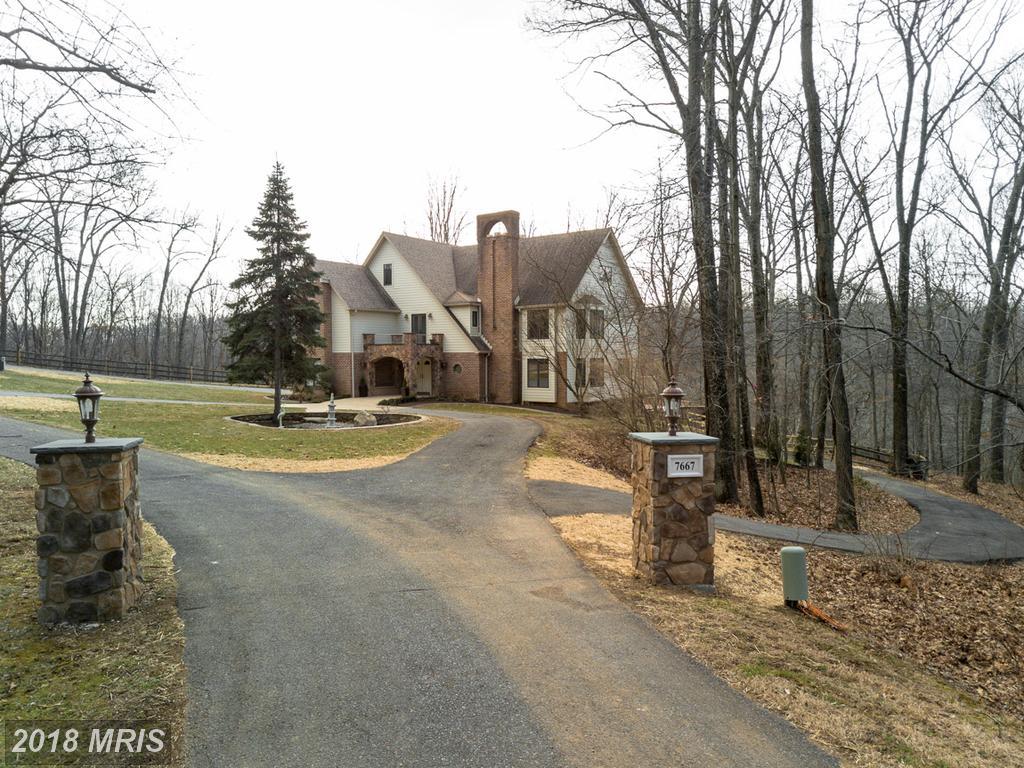 7667 Harman Drive - Photo 1