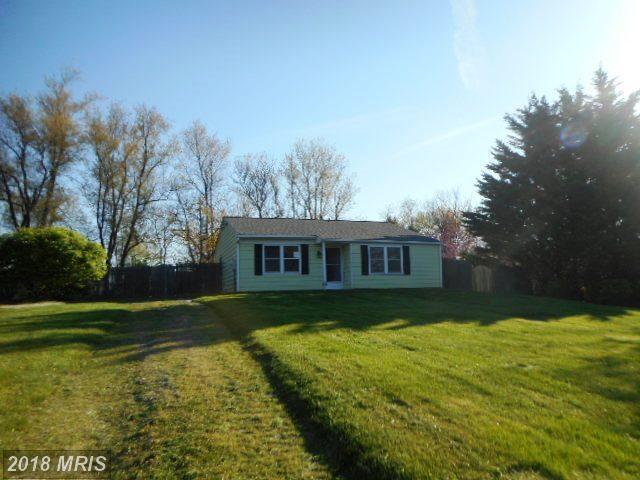 1256 Carrollyn Drive - Photo 1