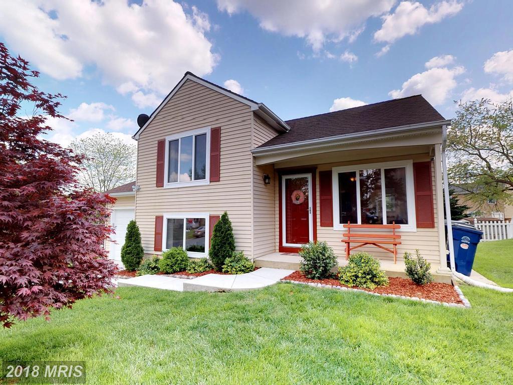 6381 Red Spruce Lane - Photo 1