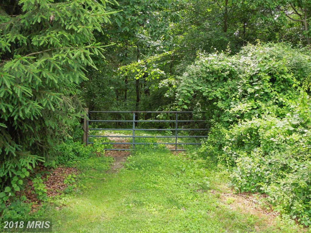 0 Murray Road - Photo 1