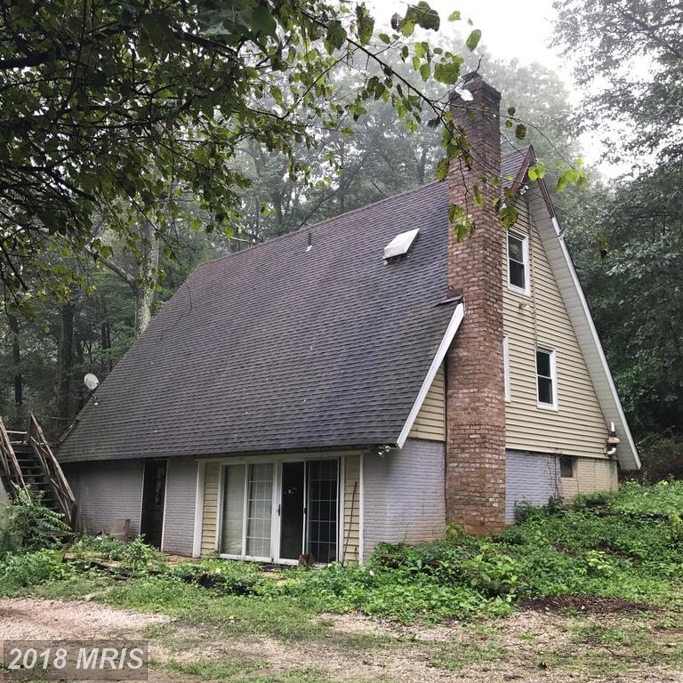 2556 Albert Rill Road - Photo 1