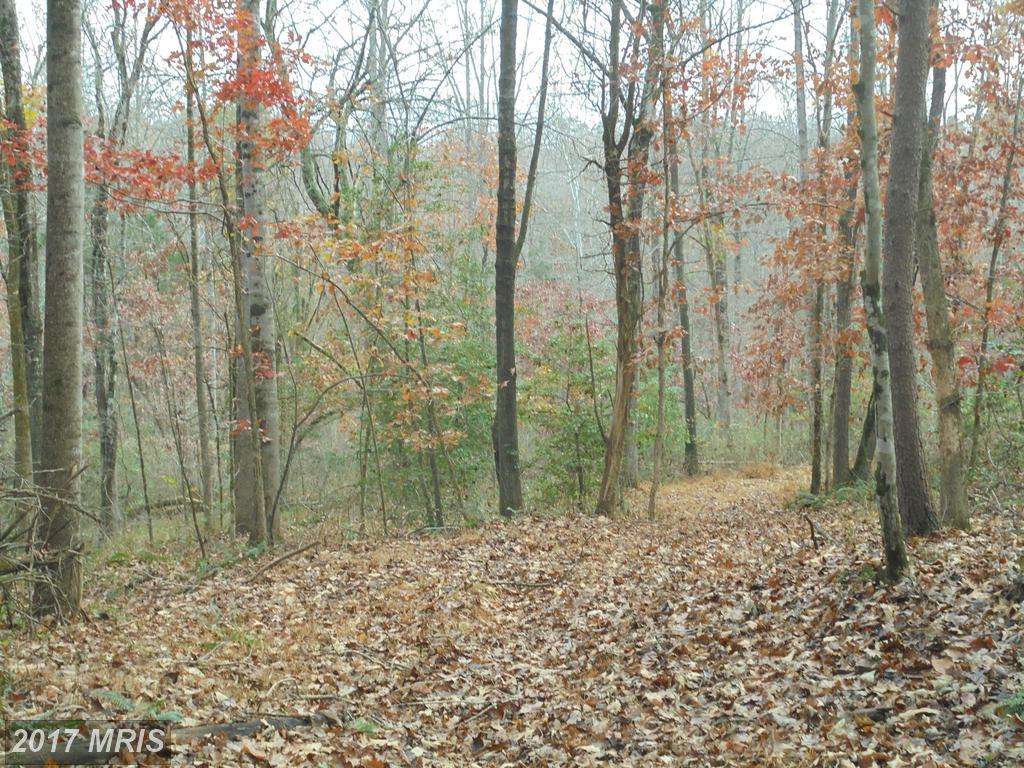Alum Springs Rd - Photo 1