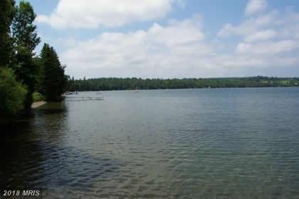 Lot 24 Old Strother - Photo 1