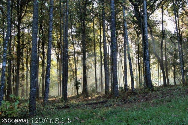 Lot 33 Rillhurst Drive - Photo 1
