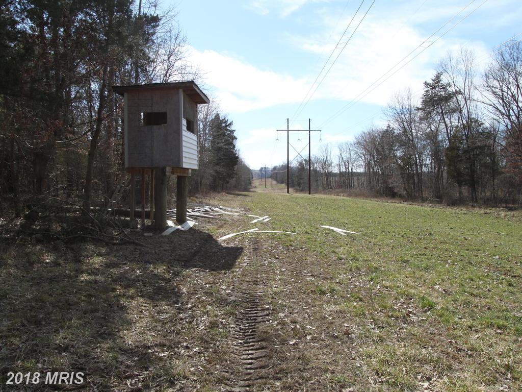 Carrico Mills Road - Photo 1
