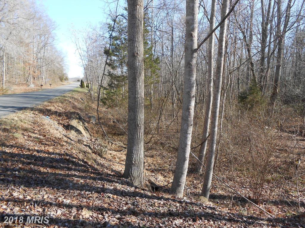Stonehouse Mountain Road - Photo 1