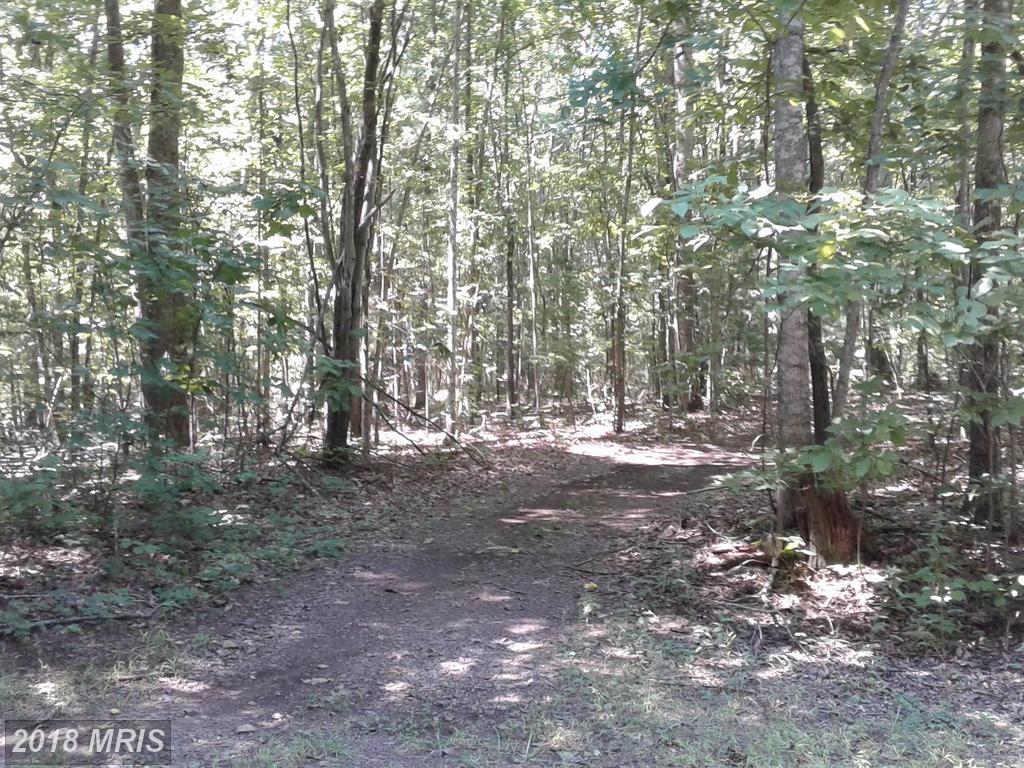 0 Shaderock Lane - Photo 1