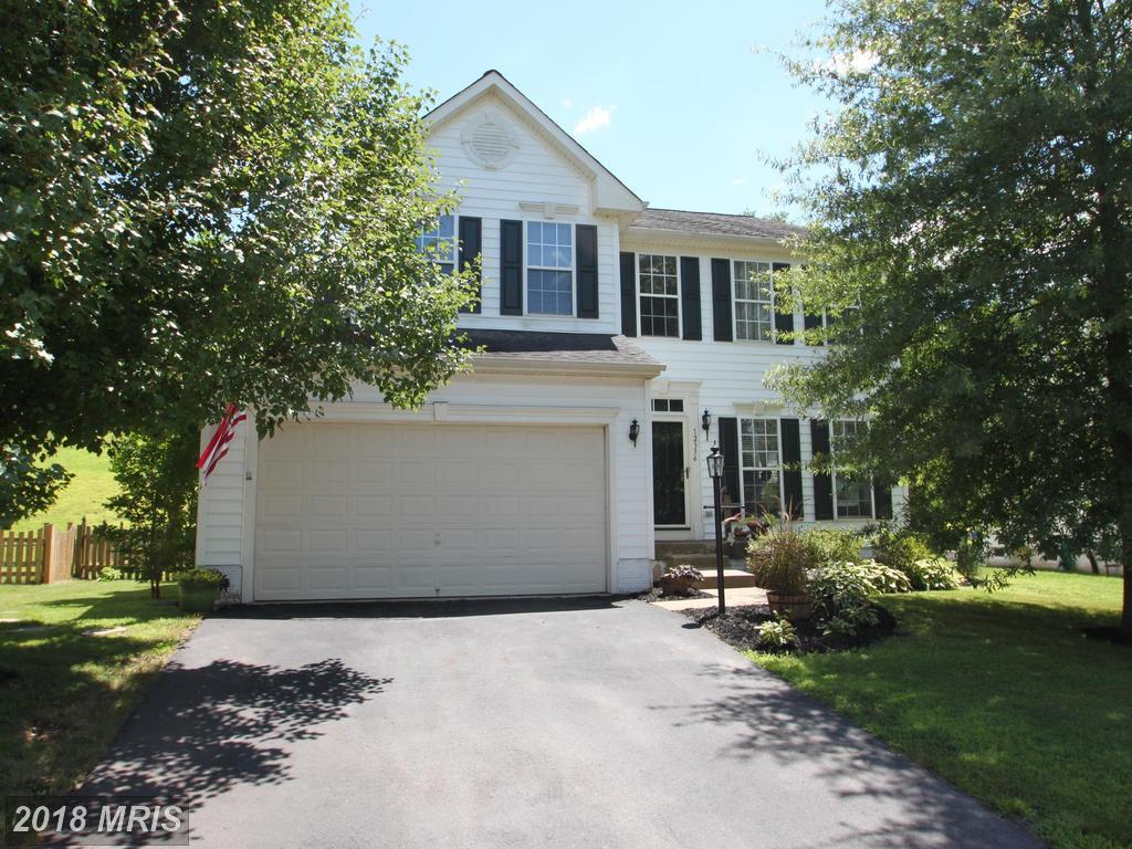 12336 Osprey Lane - Photo 1