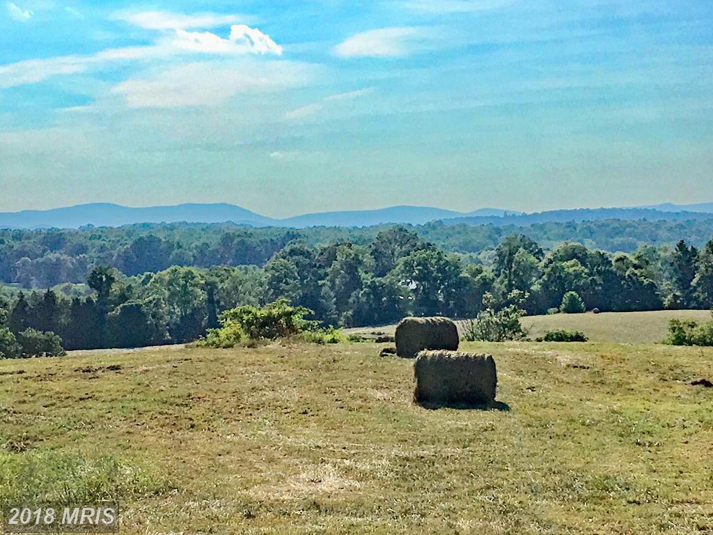24 LOTS Oak Shade Road - Photo 1
