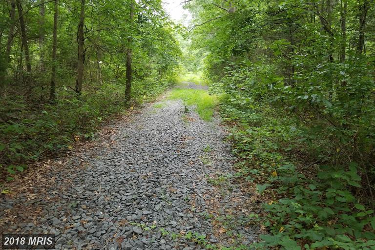 0 Somerville Rd Acres - Photo 1