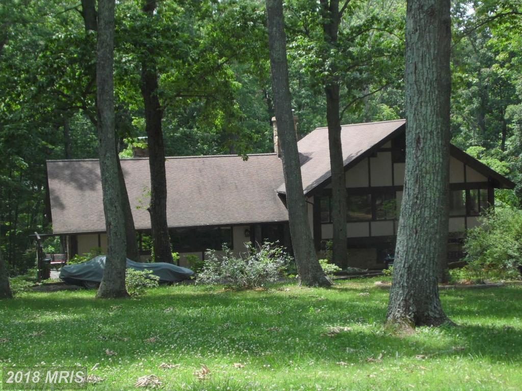 10338 Mountain Run Lake - Photo 1