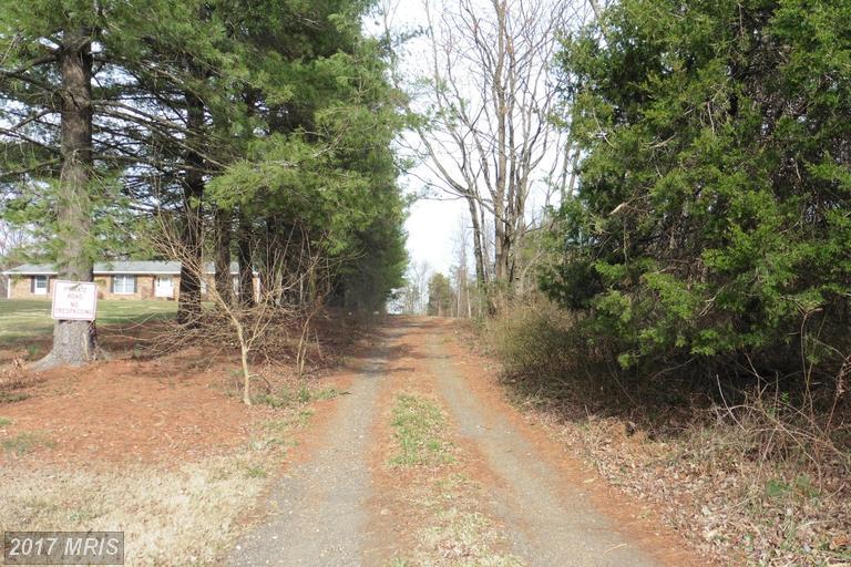 19279 Rolling Hills Drive - Photo 1