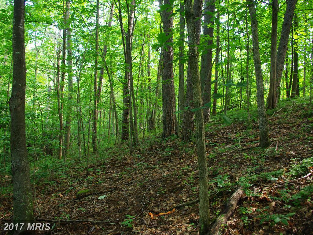 Yeawood Drive - Photo 1
