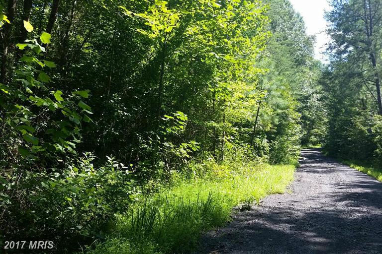 Port Rapids Road - Photo 1