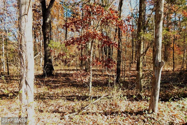 Carrico Mills Road - Photo 1