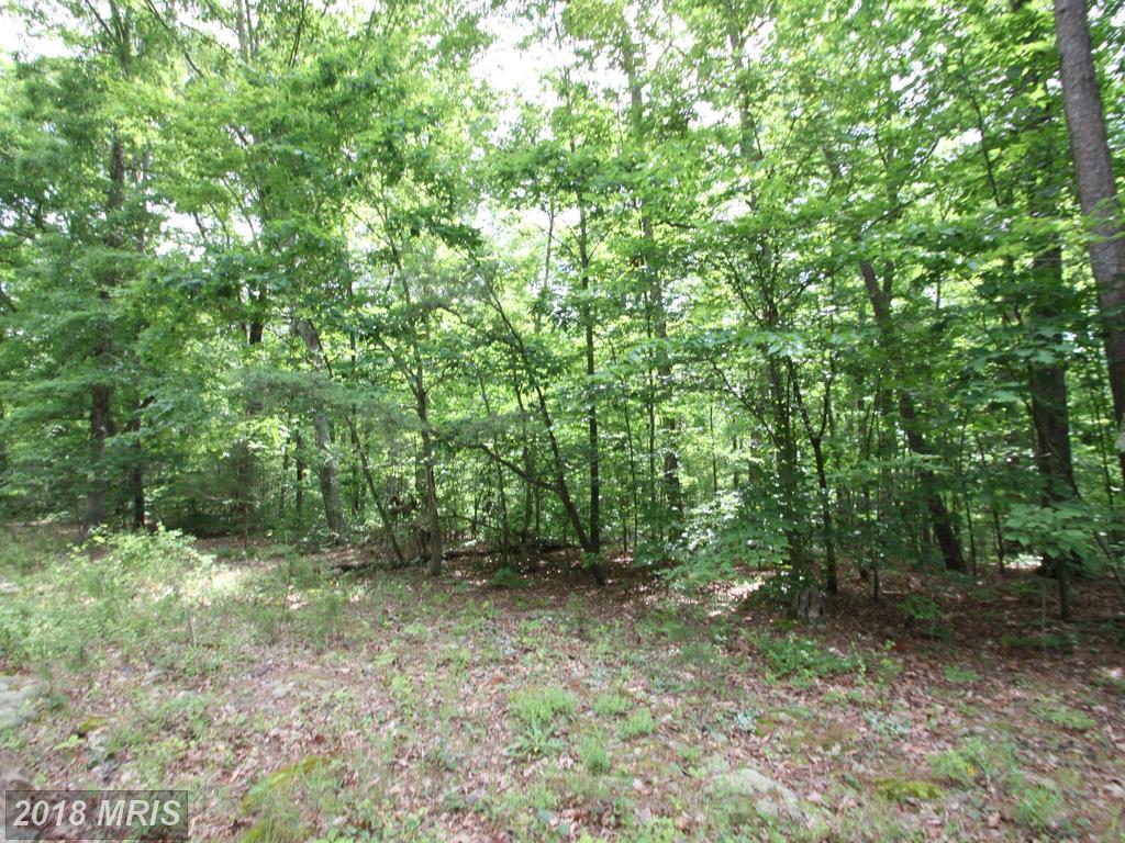 Old Mill Road - Photo 1