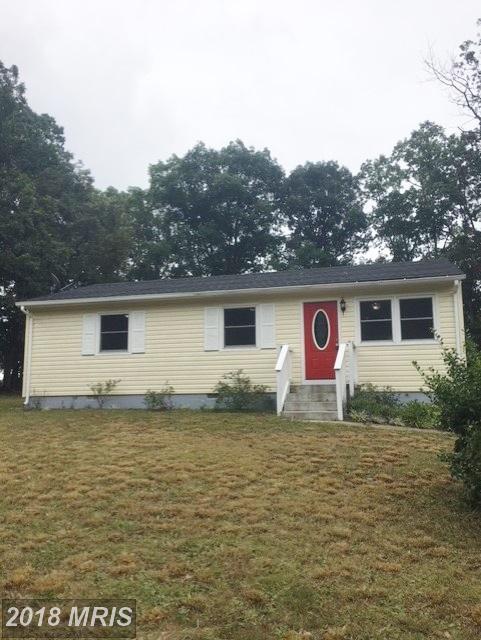 16586 Braswell Street - Photo 1