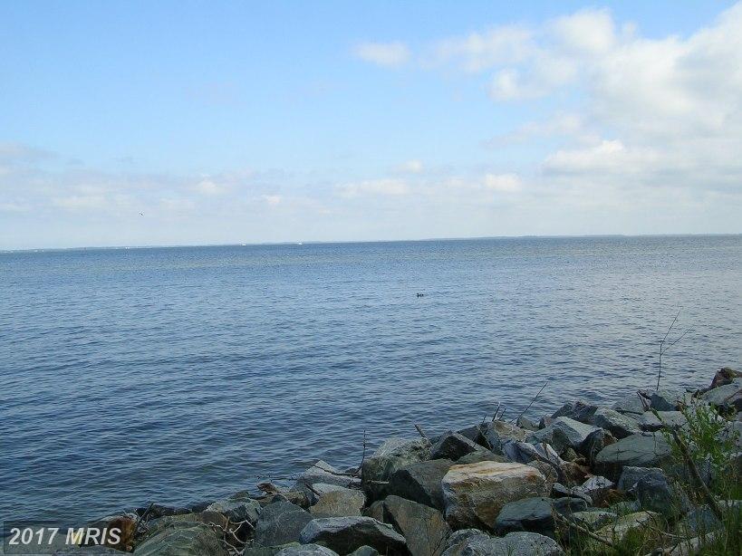 6208 Twin Point Cove Road - Photo 1
