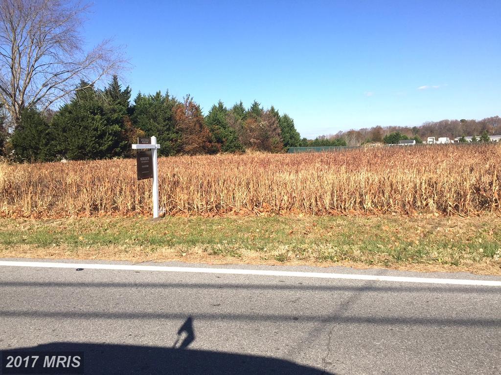Old Route 50 Lot 26 - Photo 1