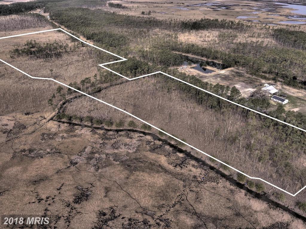 Maple Dam Road - Photo 1