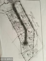 12 Gavins Run - Photo 1