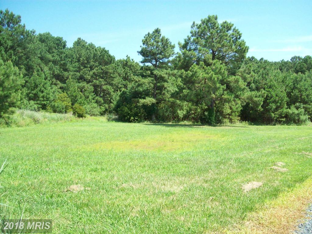 5900 Heather Lane - Photo 1