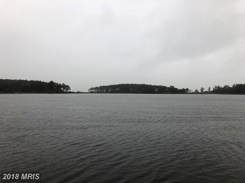 705 Twin Point Cove Road - Photo 1