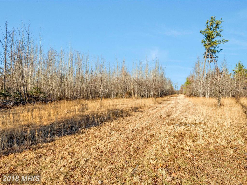 Doves Nest Rd - Photo 1