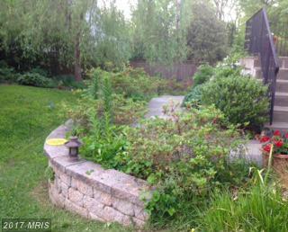 216 Lawton Street - Photo 1