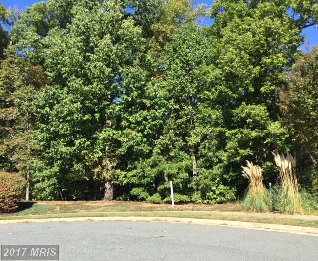 1013 Featherston Court - Photo 1
