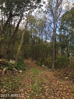 Fannettsburg Road - Photo 1