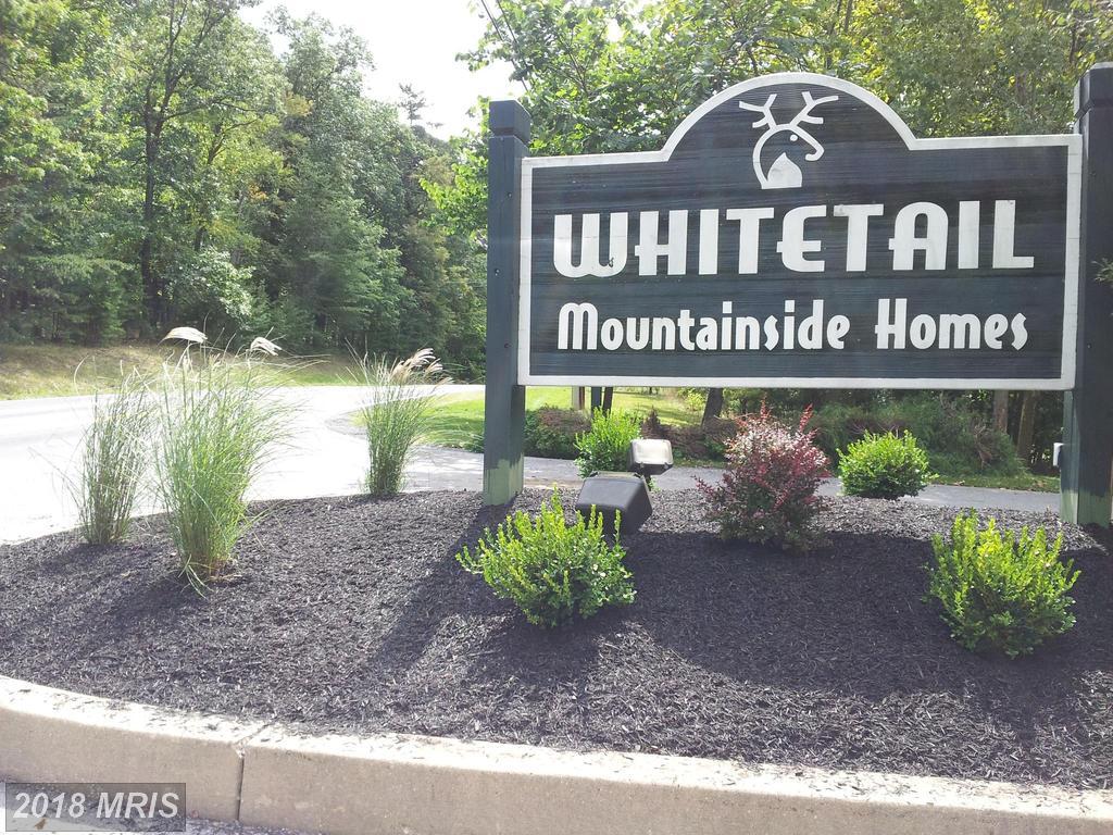 12113 Mountain Side Drive - Photo 1